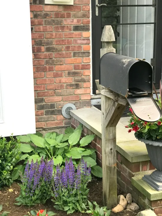 Mailbox at the front door with garden plants