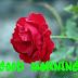 Top 10 Good Morning Ji Images greeting Pictures,Photos for Whatsapp