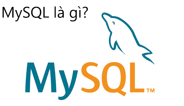 MySQL là gì? Tại sao MySQL lại phổ biến với thiết kế website?