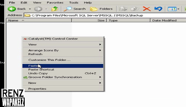 ran online private server 2018 ran online private server 2018