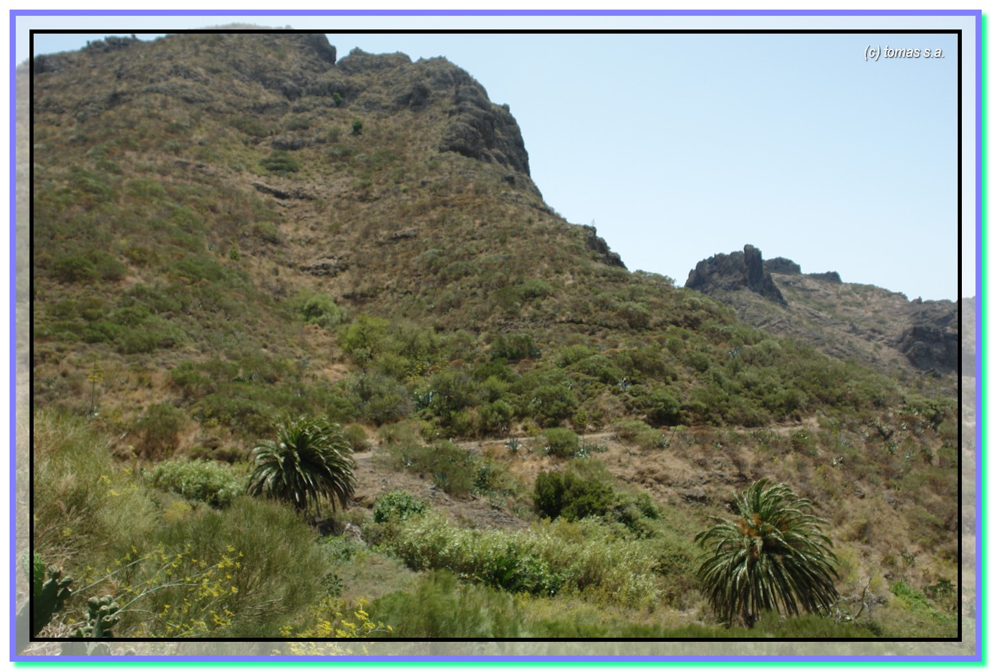 Tenerife senderos...... TENERIFE SENDEROS TENO LOS CARRIZALES