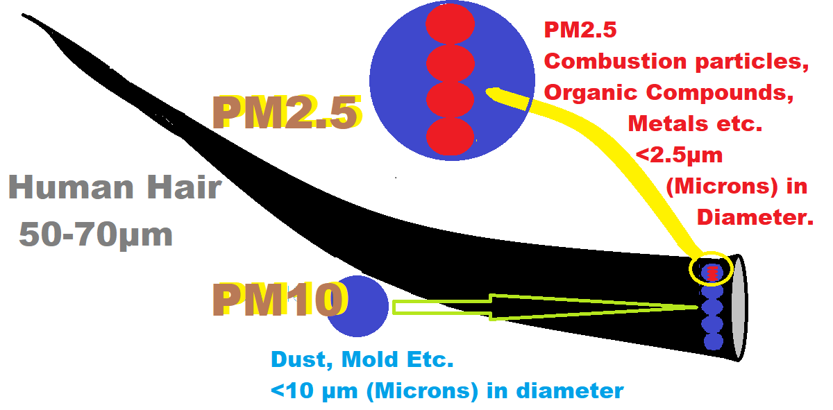 Pollution PM 10 and PM 2.5 Size Compare With Humain Hair Pollution PM 10 and PM 2.5 Size Compare With Humain Hair