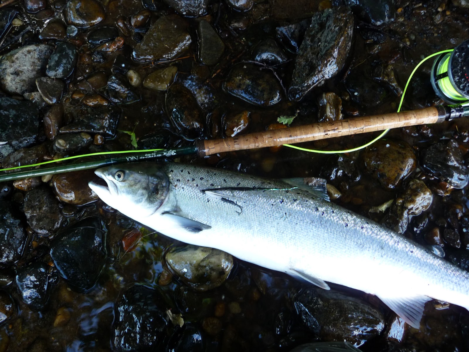 Salmon Fishing Scotland. Salmon Fishing Scotland Summer Salmon Fly