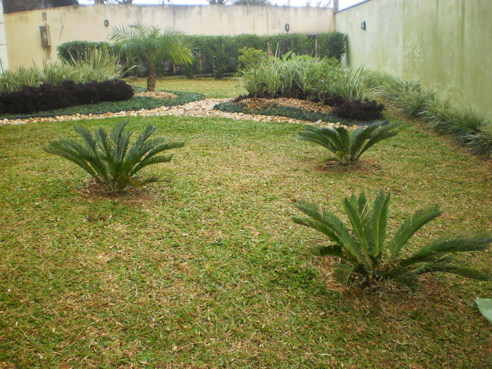 Suponha Que Você Tenha Em Seu Jardim Exemplares