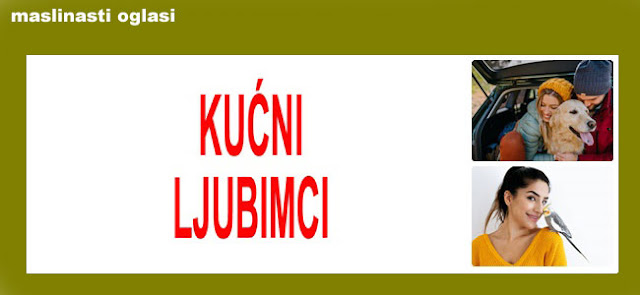 9. KUĆNI LJUBIMCI MASLINASTI OGLASI