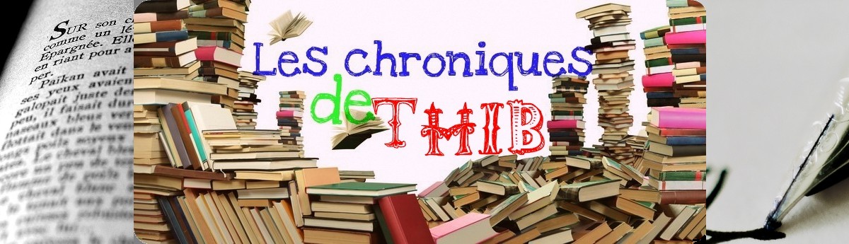 Chroniques de Thib