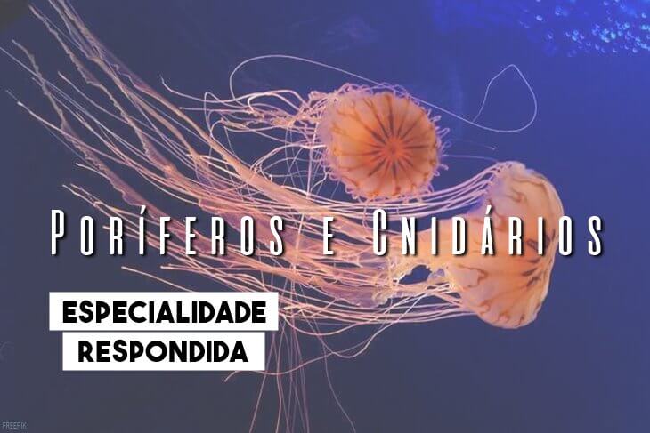 Especialidade-de-Poriferos-e-Cnidarios-Respondida