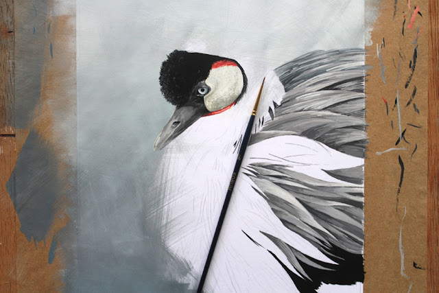 Riaan Coetzee, fine art, painting, gouache, Crow crane bird, realism