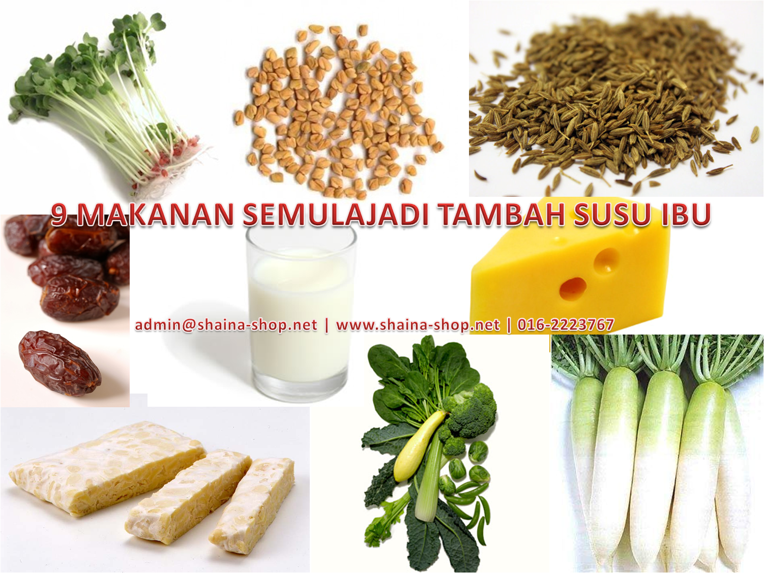 Pengedar Shaklee Subang Jaya Shah Alam Petaling Jaya Puchong 9 Makanan Semulajadi Tambah Susu Ibu