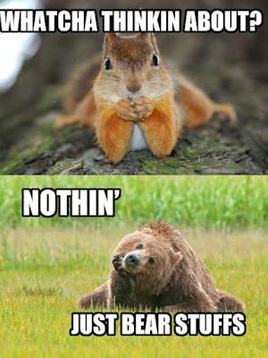 Funny Squirrel Memes - Whatcha thinkin about nothing just bear stuffs via Devastate Boredom