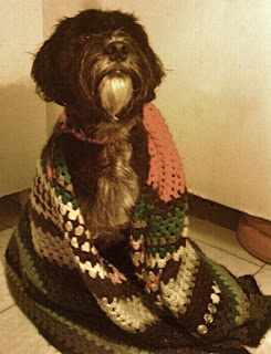 Perro con manta de abuela hecha a ganchillo