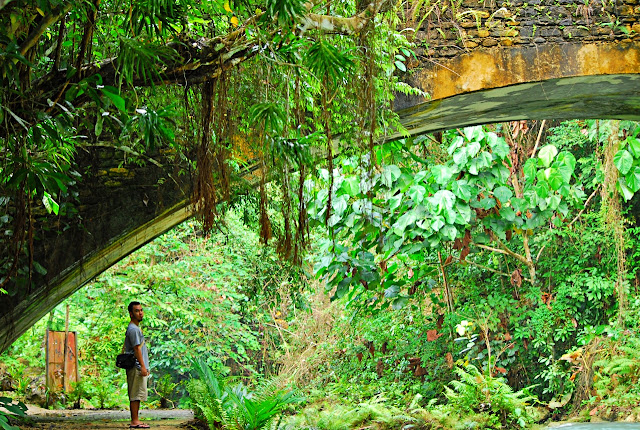 Cebu waterfalls