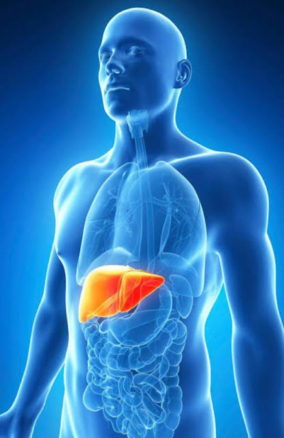 طرق الوقاية من مرض الكوليرا طرق الوقاية من مرض الكوليرا