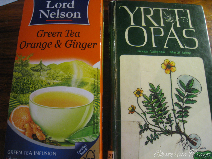 Forest Lair A Very Asian Day