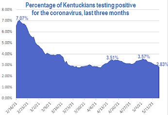 Graph showing the percentage of Kentuckians testing positive for the coronavirus over the last three months. 