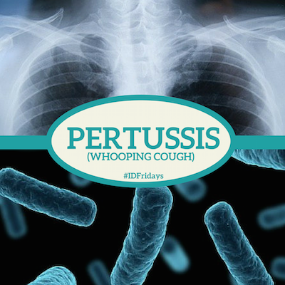 An In-depth Guide To Pertussis : Everything You Need To Know.