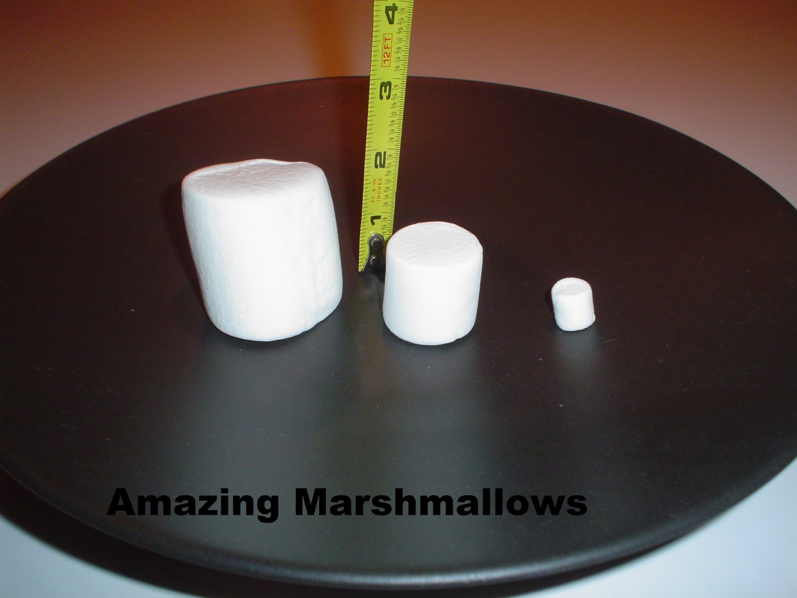 Amazing Marshmallows June 2011