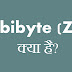 Zebibyte (ZiB) क्या है?