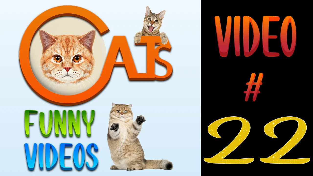 Cats Funny Videos Compilation 22 | Cat & Horse | #cats #catsvideos