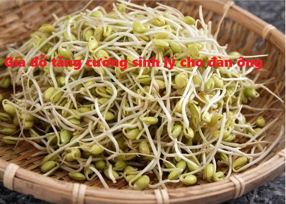 giá đỗ giúp tăng cường sinh lý đàn ông giá đỗ giúp tăng cường sinh lý đàn ông