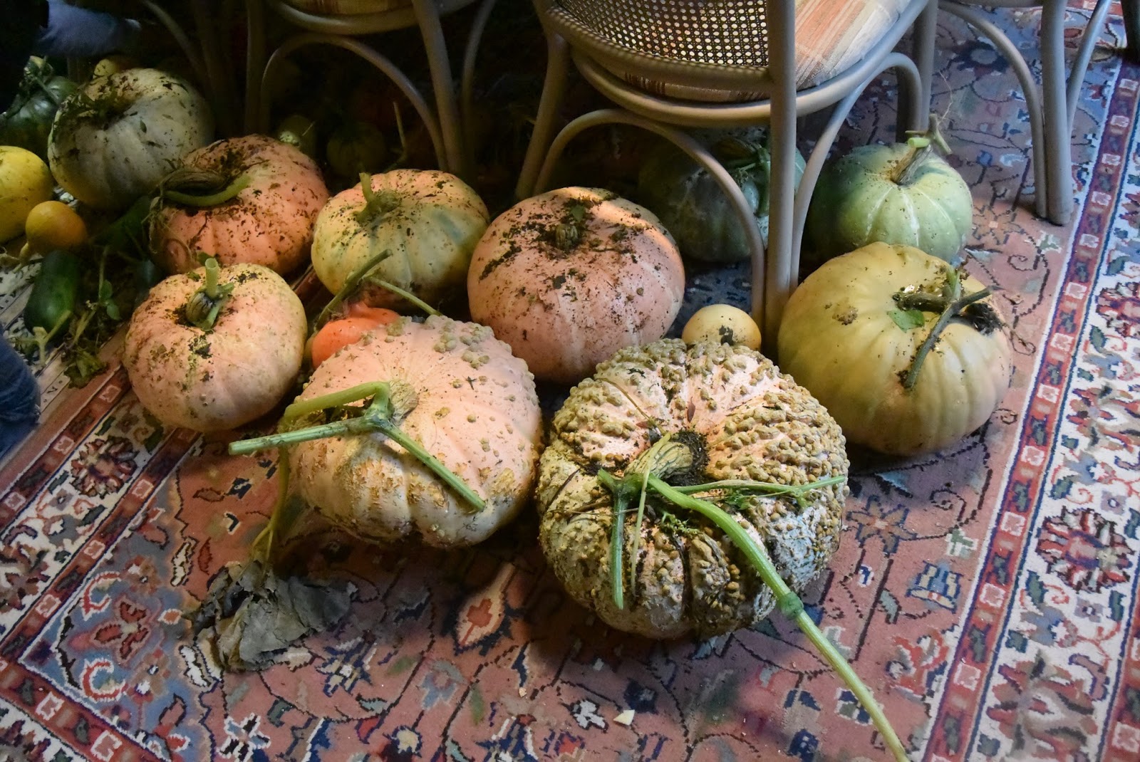 M I J M E R I N G E N Mijmering 125 Pompoensoep En Pompoen Krokantjes