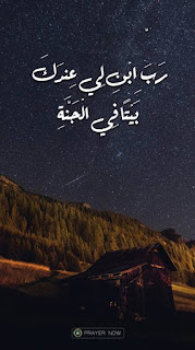 خلفية, خلفيات, صور, خلفيات موبايل, خلفيات جوال