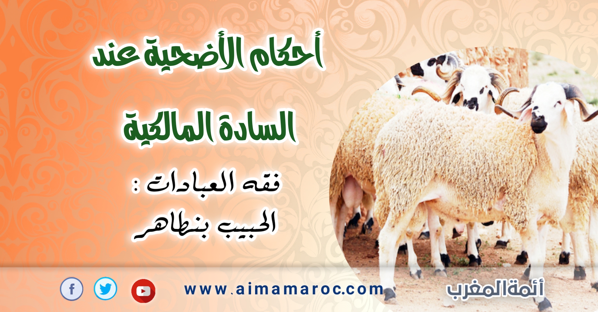 أحكام الأضحية عند السادة المالكية أئمة مروك