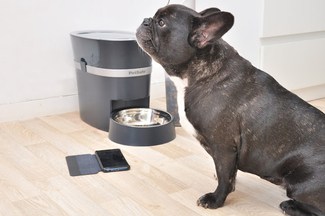 Test distributeur de croquettes connecté Petsafe Smartfeed