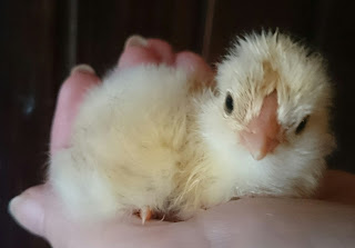 Nuorten erotiikka kuvia