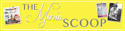 The Marin Scoop