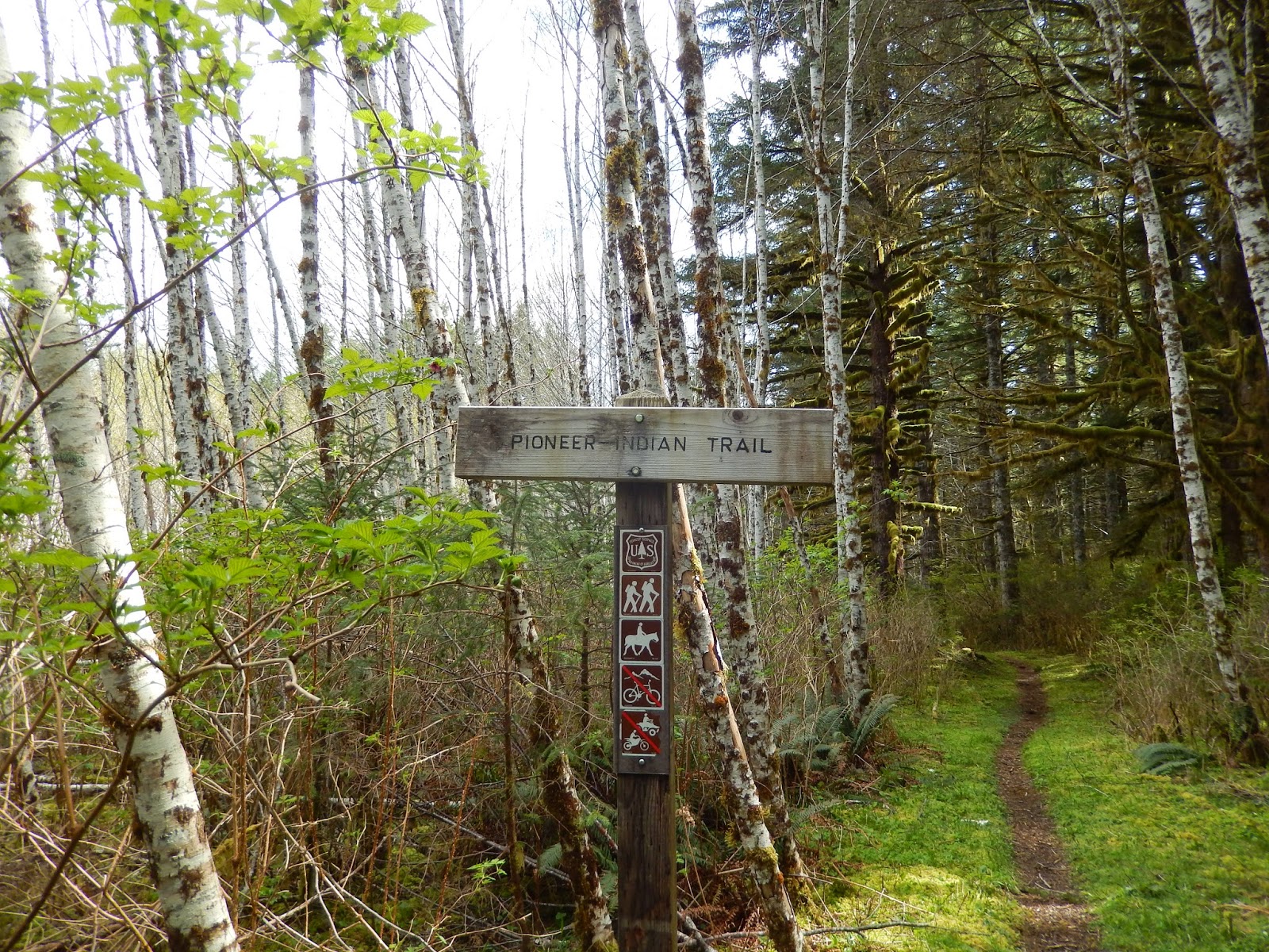 Holly's Horse Tales and Trails Nehalem Bay State Park Horse Camp, and