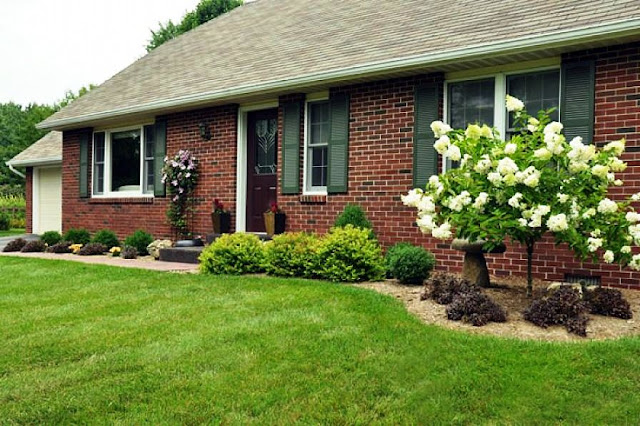 garden%2Blandscape%2B%25289%2529