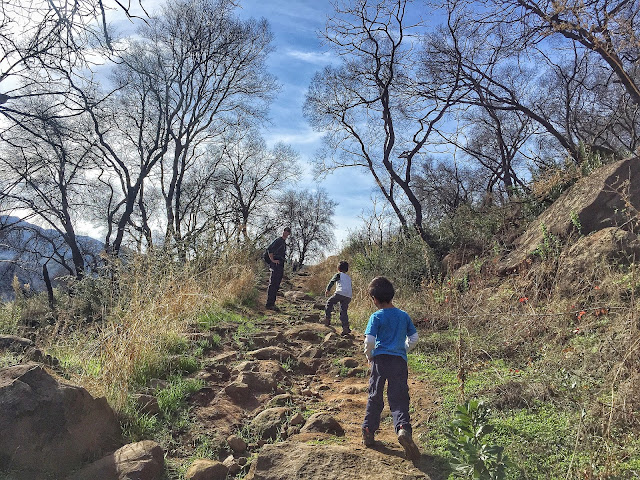 hiking Stebbins Cold Canyon