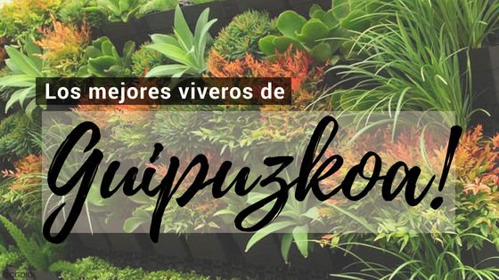 Comprar Plantas Online en Gipuzkoa, España