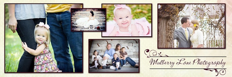 Mulberry Lane Photography