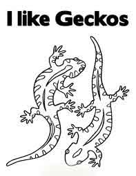 Gecko Reptile Coloring Pages To Kids