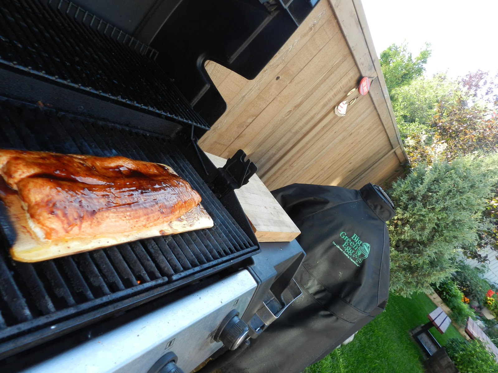 Big Green Egg by Dr. T Cedar Plank Salmon