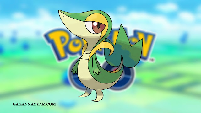 Pokemon Go: Qu'est-ce que Snivy? Pour tout savoir sur ce Pokémon dans ce guide