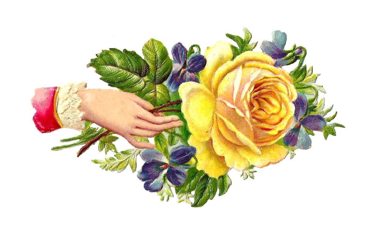 yellow roses pictures clip art - photo #15