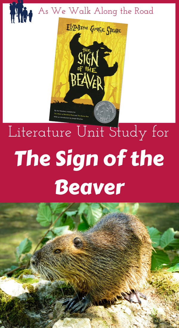 The Sign of the Beaver unit study The Sign of the Beaver unit study