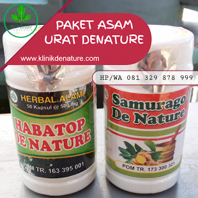 OBAT ASAM URAT ALAMI PALING AMPUH