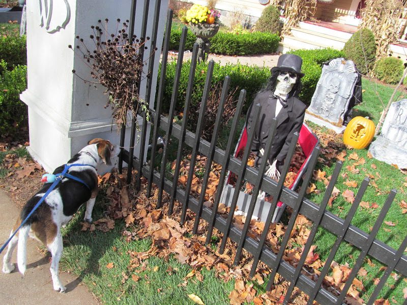 Tillson street christmas