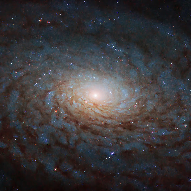 Spiral Galaxy NGC 4380
