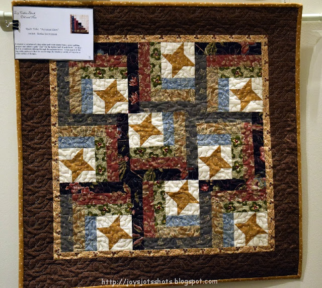 Joy's Jots, Shots & Whatnots Elkhorn Quilt Guild 2016 Annual Show