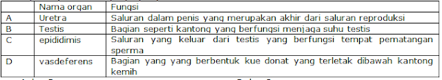Soal UAS IPA SMP Kelas 9 Semester 1 2019 K13 Revisi