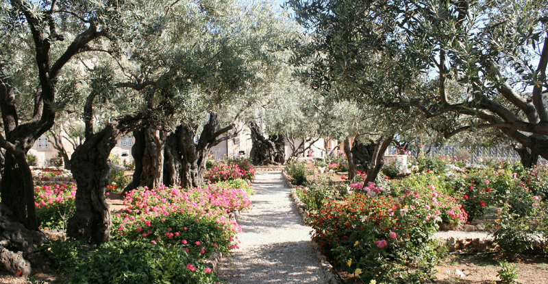 Uma História de Dois Jardins – Éden e Getsêmani