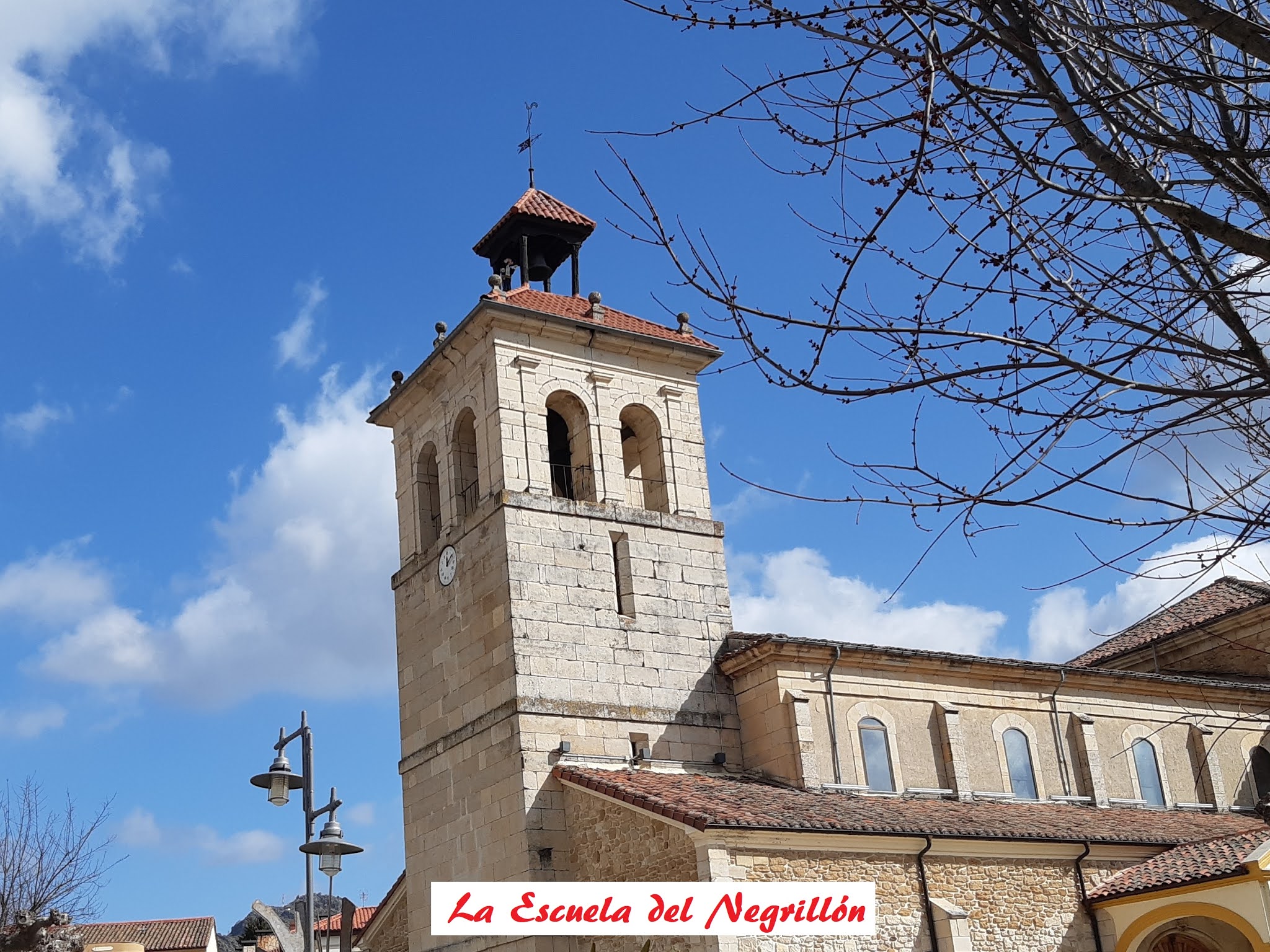 La Escuela del Negrillón EL MARAGATO YA TIENE SUCESOR EN LA TORRETA La Escuela del Negrillón EL MARAGATO YA TIENE SUCESOR EN LA TORRETA