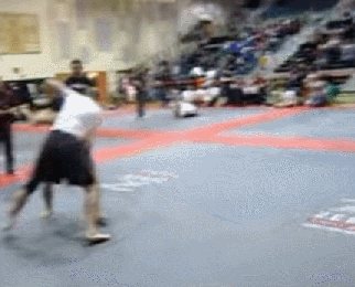 9.gif