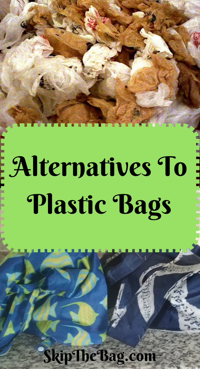 Skip The Bag Alternatives to Plastic Grocery Bags