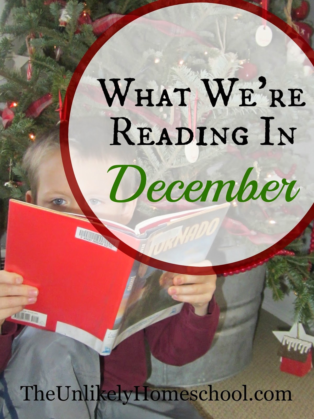 What We're Reading in December (Book selections for a homeschooling family of 7)